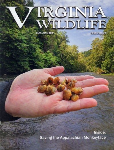 Virginia Wildlife May 01, 2023 Issue Cover