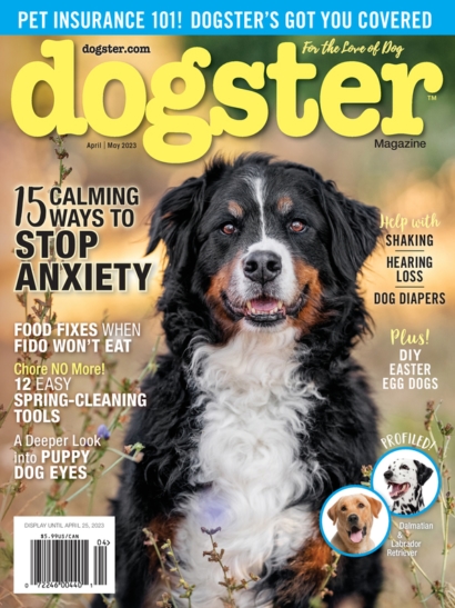 Dogster April 01, 2023 Issue Cover