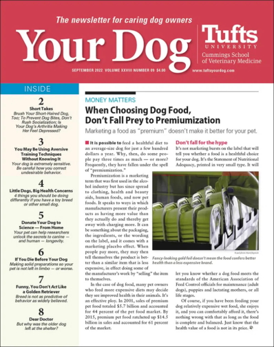 Your Dog September 01, 2022 Issue Cover