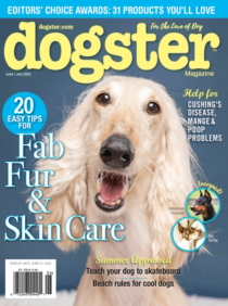 Dogster June 01, 2022 Issue Cover