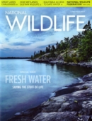 National Wildlife June 01, 2022 Issue Cover