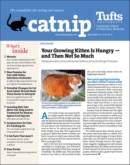 Catnip April 01, 2023 Issue Cover