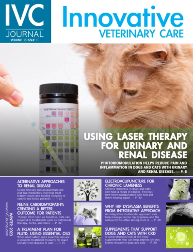 Innovative Veterinary Care Journal December 01, 2022 Issue Cover