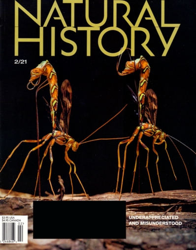 Natural History | 2/1/2021 Cover