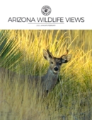 Arizona Wildlife Views January 01, 2023 Issue Cover
