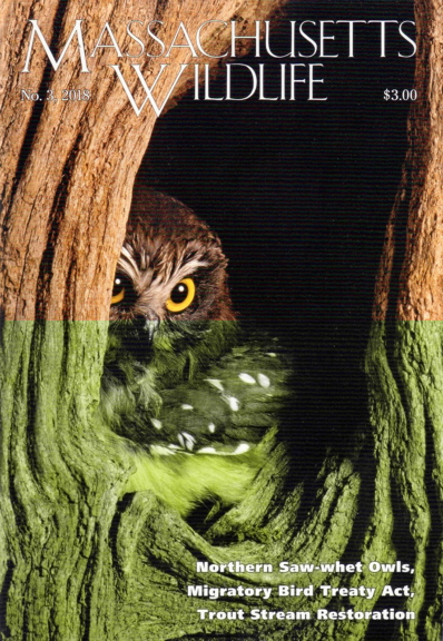 Massachusetts Wildlife | 9/1/2018 Cover