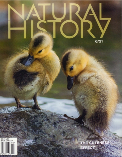 Natural History June 01, 2021 Issue Cover