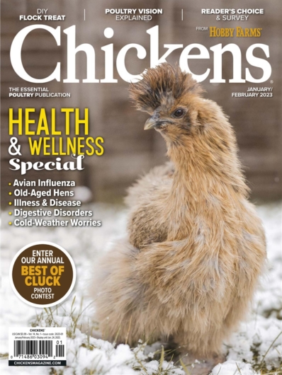 Chickens January 01, 2023 Issue Cover
