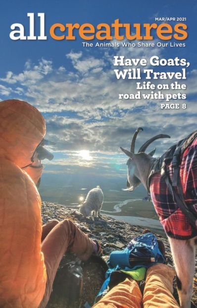 All Creatures | 3/1/2021 Cover