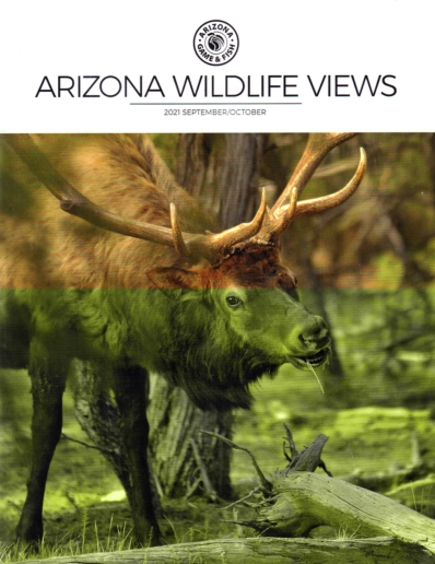 Arizona Wildlife Views September 01, 2021 Issue Cover