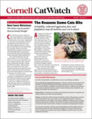 Catwatch May 01, 2022 Issue Cover