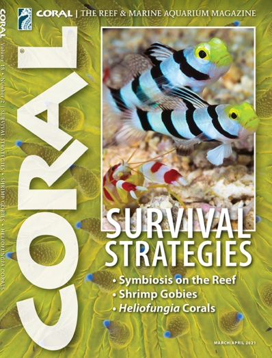 Coral | 3/1/2021 Cover