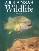 Arkansas Wildlife May 01, 2022 Issue Cover