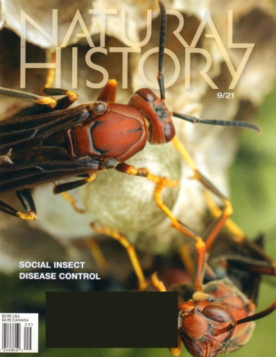 Natural History September 01, 2021 Issue Cover