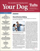 Your Dog March 01, 2023 Issue Cover