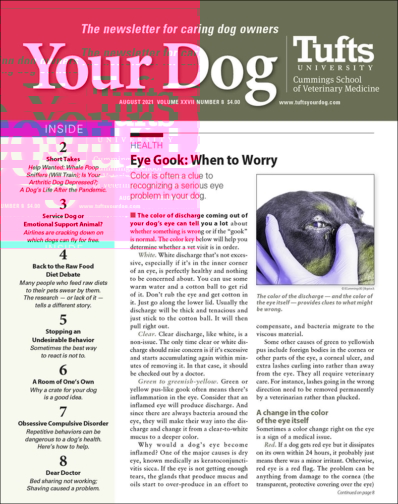 Your Dog August 01, 2021 Issue Cover