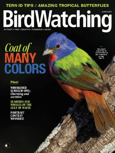 Bird Watching June 01, 2023 Issue Cover