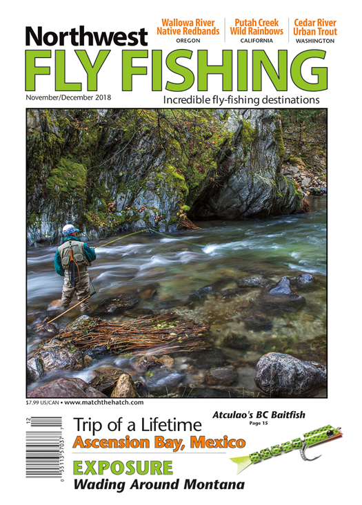 American Fly Fishing Magazine Subscription