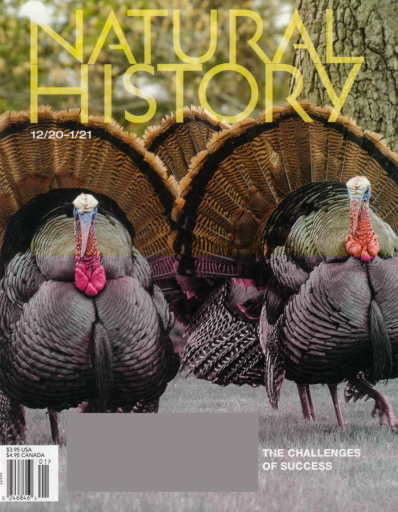 Natural History | 12/1/2020 Cover