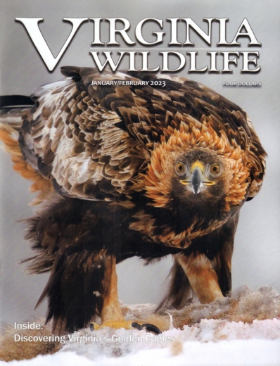 Virginia Wildlife January 01, 2023 Issue Cover
