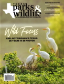 Texas Parks & Wildlife December 01, 2021 Issue Cover