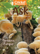 ask May 01, 2022 Issue Cover