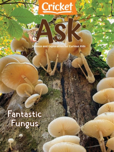 ask May 01, 2022 Issue Cover