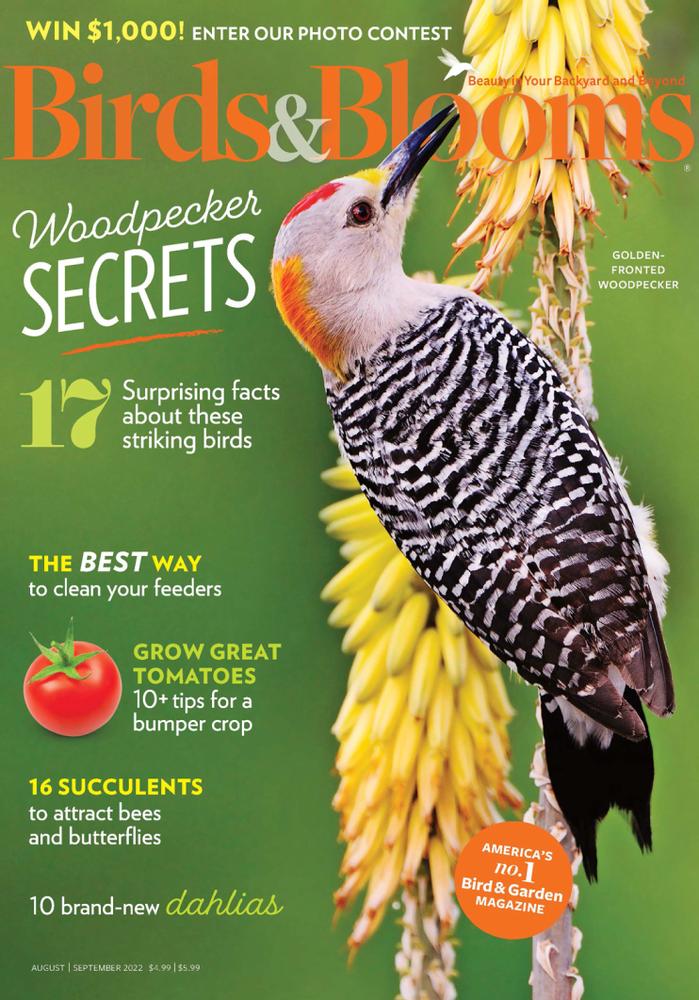 Birds & Blooms Magazine | Magazine-Agent.com