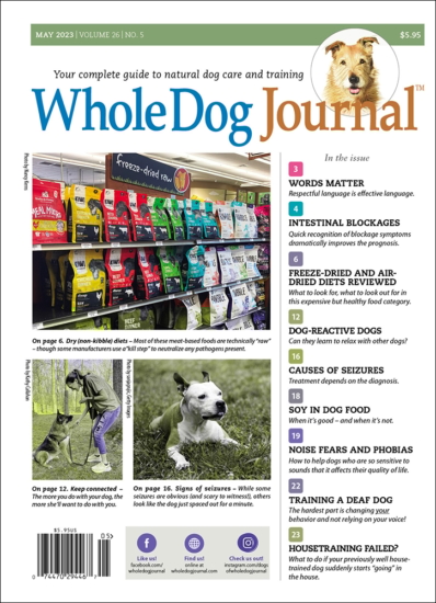 Whole Dog Journal May 01, 2023 Issue Cover