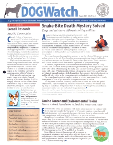 Dogwatch | 8/1/2020 Cover