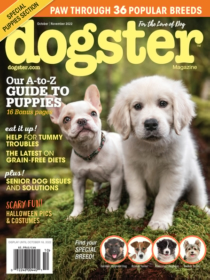 Dogster October 01, 2022 Issue Cover