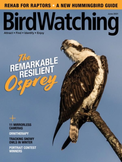 Bird Watching June 01, 2021 Issue Cover