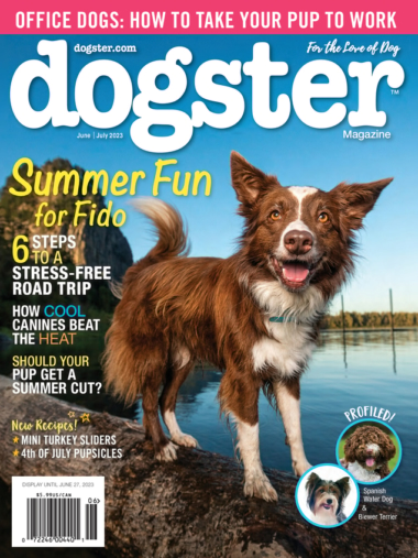 Dogster June 01, 2023 Issue Cover