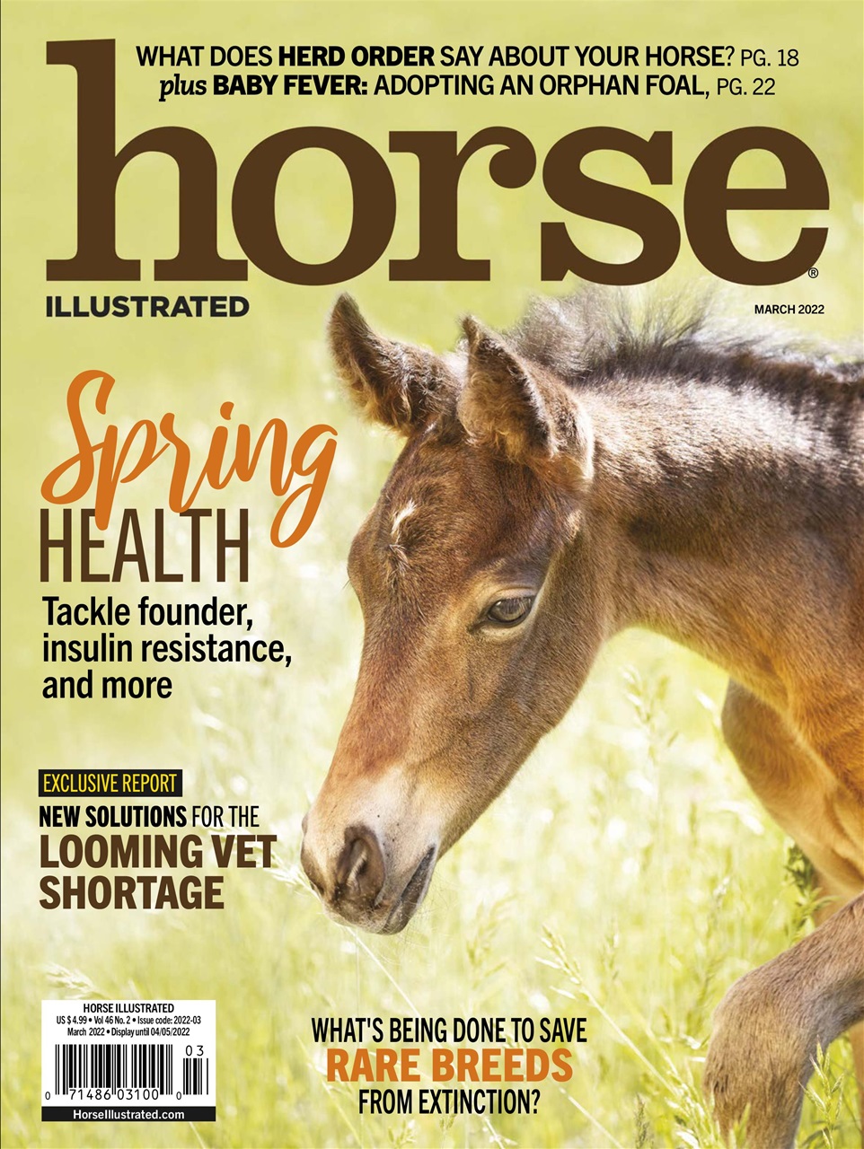 horse-illustrated-magazine-magazine-agent