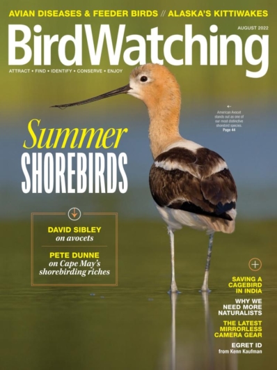 Bird Watching August 01, 2022 Issue Cover