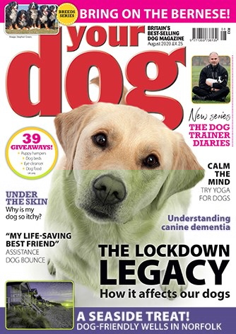 Your Dog | 8/1/2020 Cover