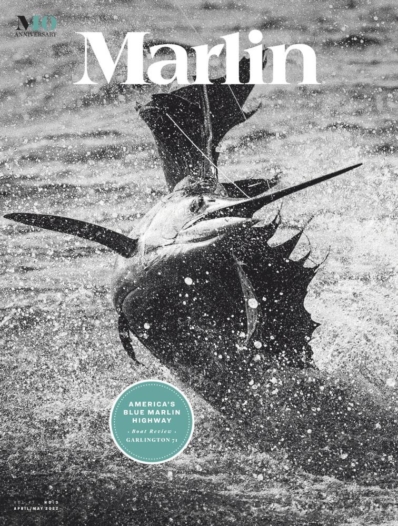 Marlin April 01, 2022 Issue Cover
