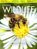 National Wildlife April 01, 2022 Issue Cover