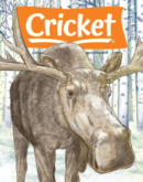 Cricket November 01, 2021 Issue Cover
