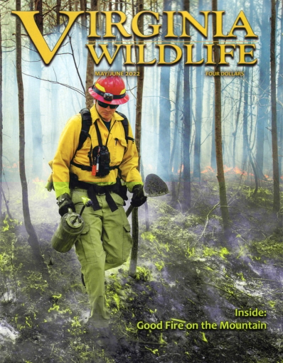 Virginia Wildlife May 01, 2022 Issue Cover