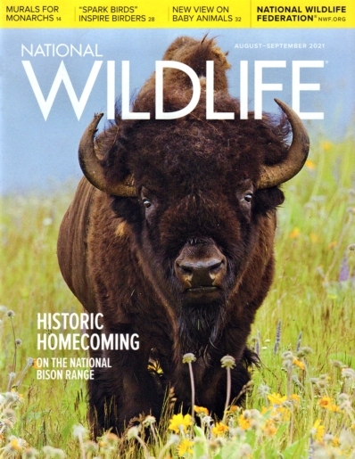 National Wildlife August 01, 2021 Issue Cover
