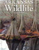 Arkansas Wildlife September 01, 2022 Issue Cover