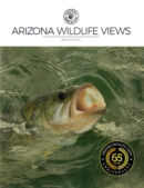 Arizona Wildlife Views May 01, 2022 Issue Cover