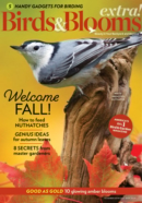 Birds & Blooms Extra November 01, 2022 Issue Cover