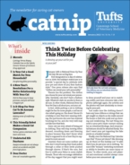 Catnip January 01, 2022 Issue Cover