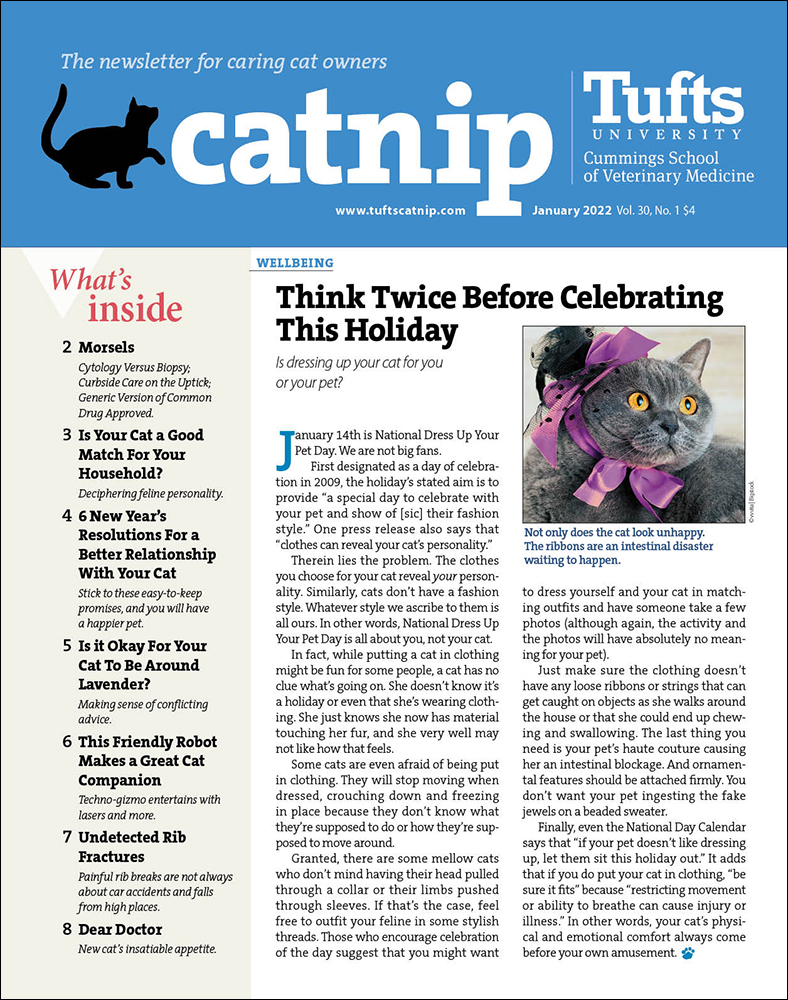 Catnip January 01, 2022 Issue Cover