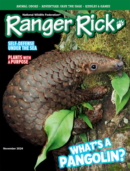 Ranger Rick November 01, 2024 Issue Cover