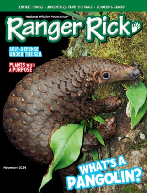 Ranger Rick Magazine Subscription