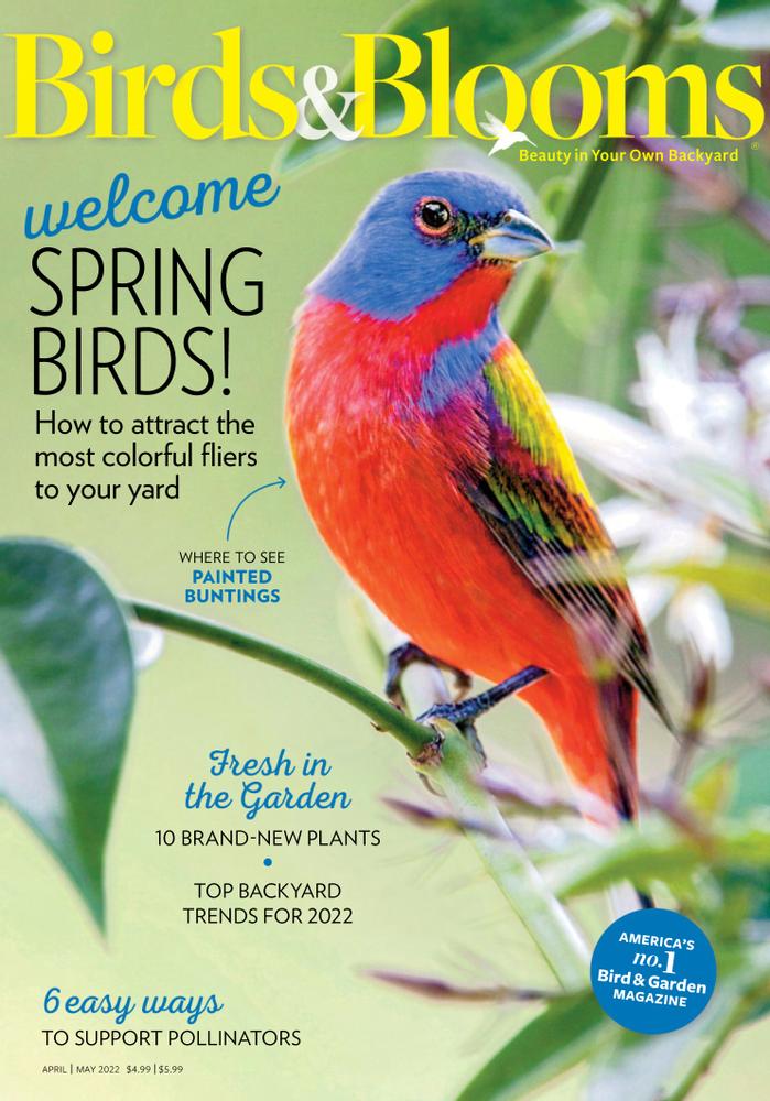 Birds-and-Blooms April 01, 2022 Issue Cover