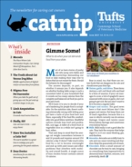 Catnip June 01, 2021 Issue Cover